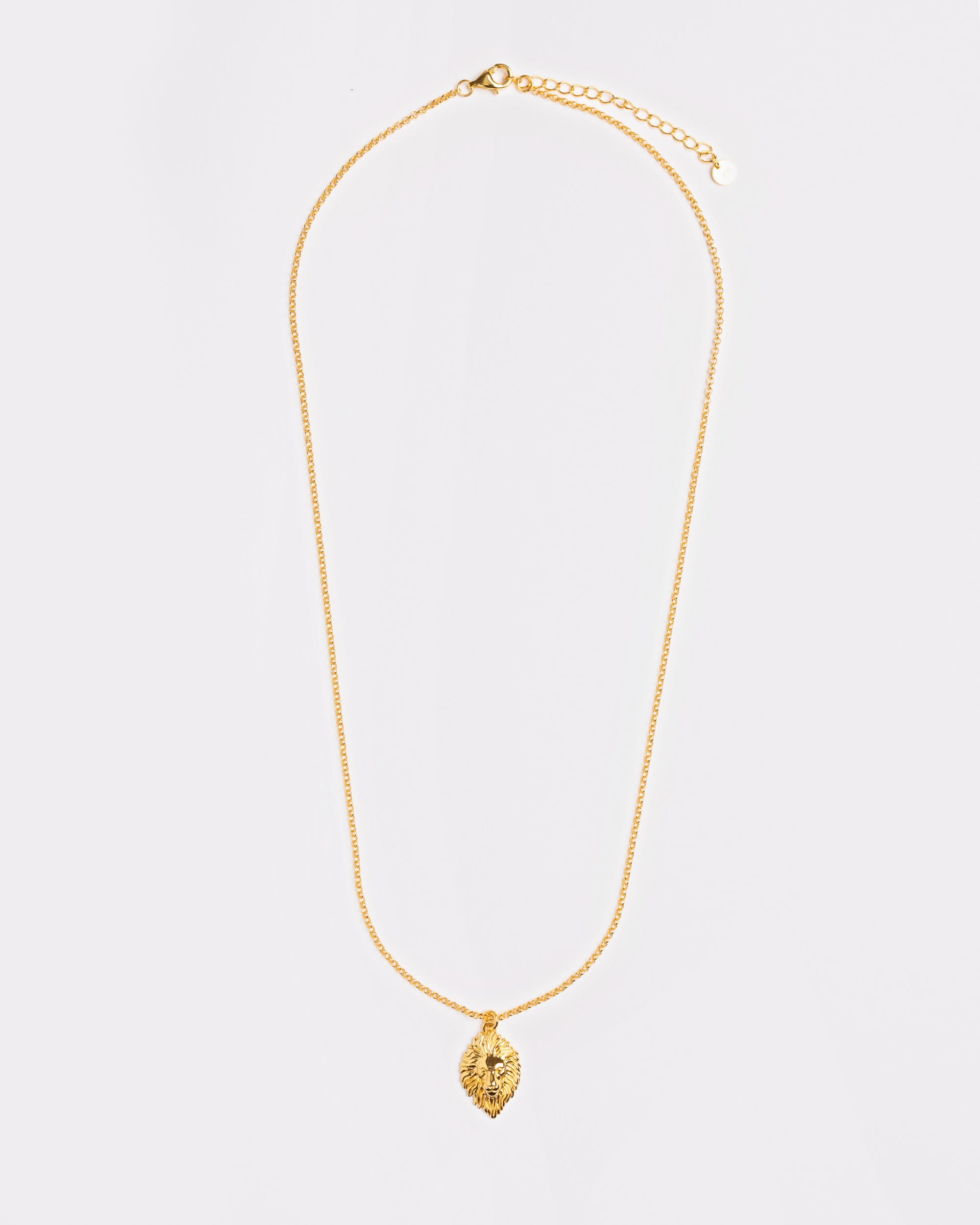 The Courage Lion Necklace