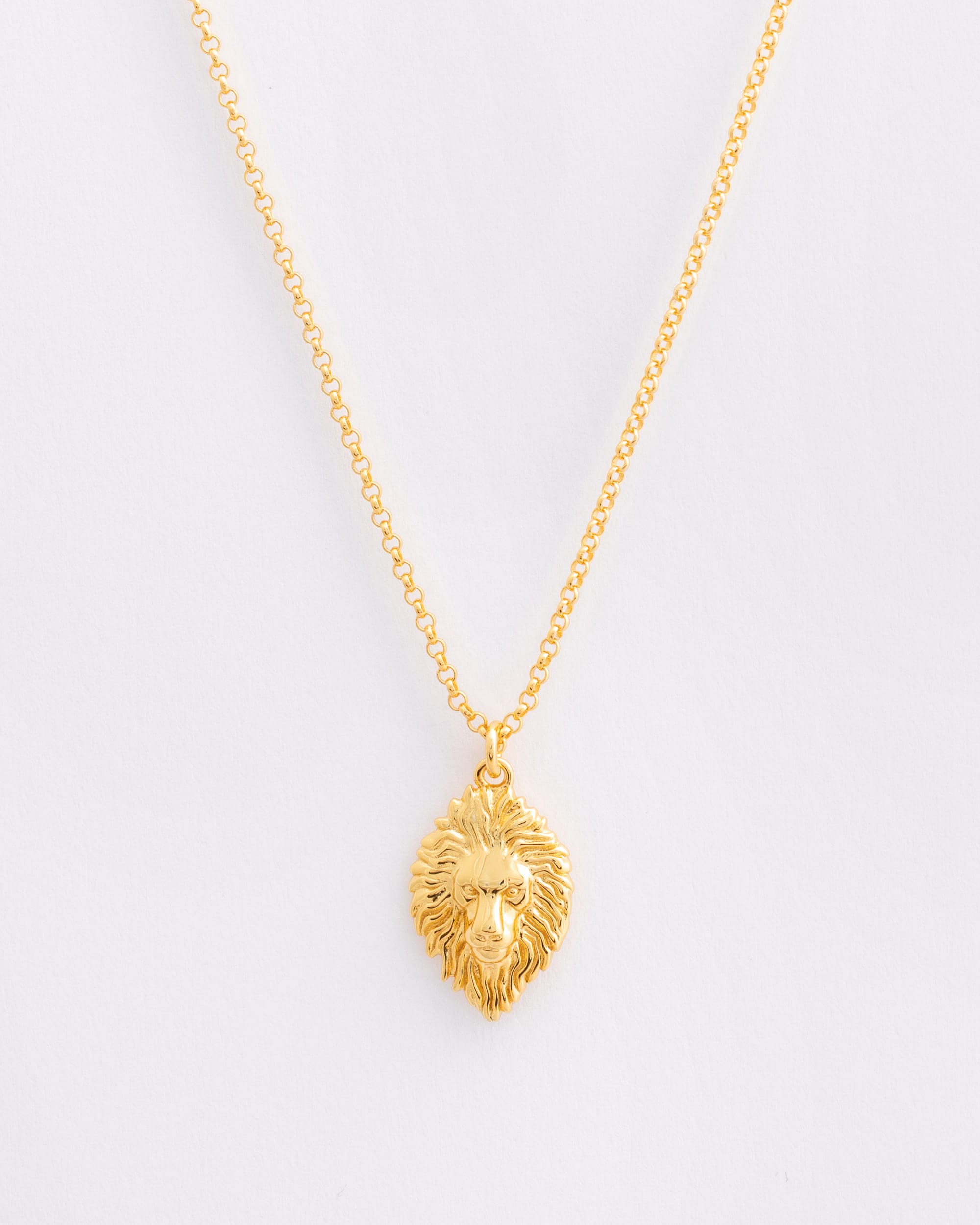 The Courage Lion Necklace